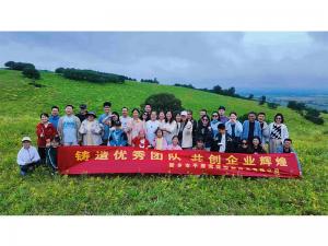 從空調房到草原天路，公司帶你解鎖夏日新體驗。